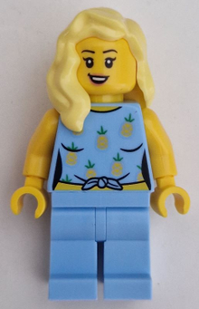 Minifig cty1660