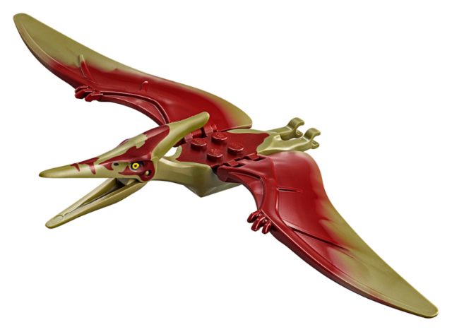 Part ptera05