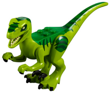 Part raptor08