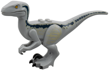 Part raptor14