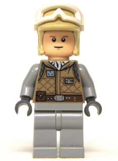 Minifig sw0098