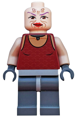 Minifig sw0305