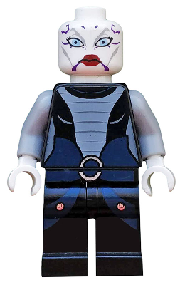 Minifig sw0318