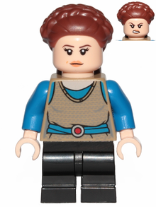 Minifig sw1023